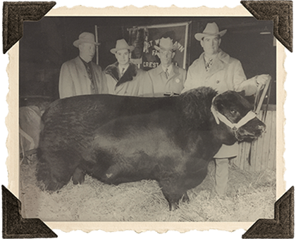 Luther McClung with Bull